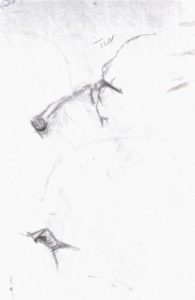 Tux sleeping and tux's eyes